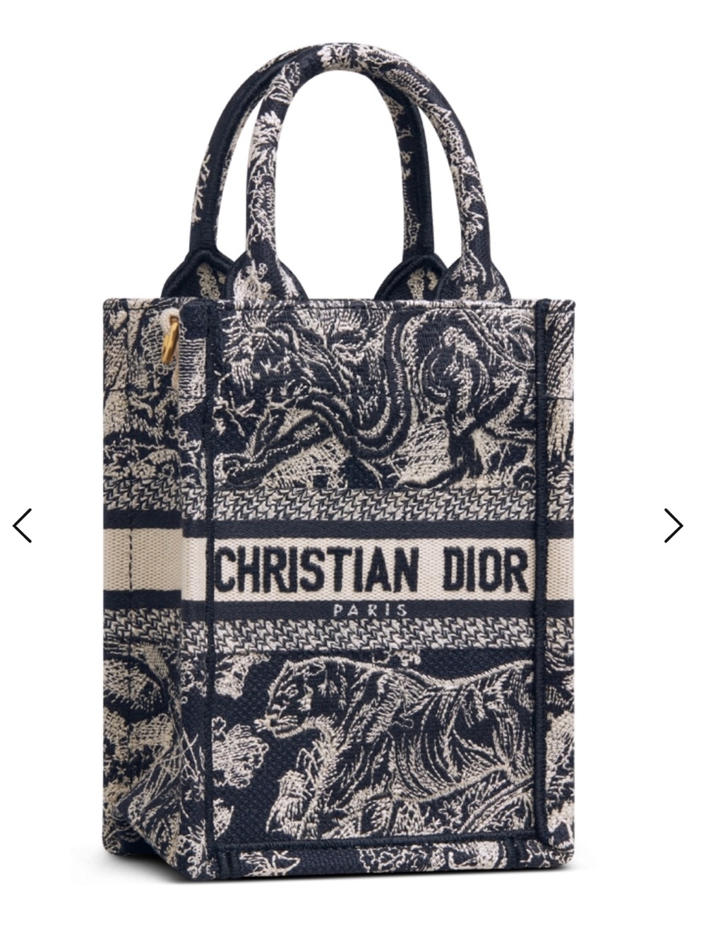 Christian Dior Mini Book Tote
